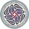  Cognitive Sciences and Technologies Council