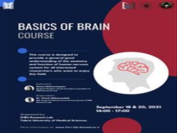 Basics of Brain